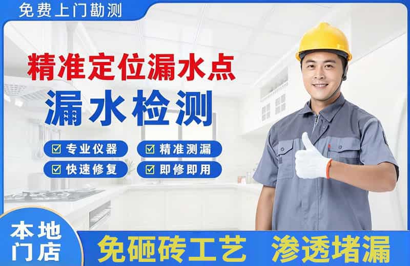 点军精准测漏点